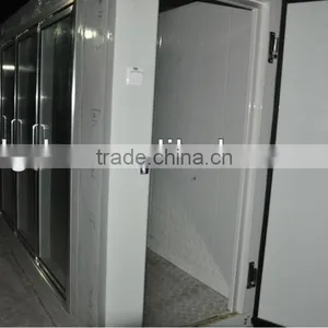 Glass Door Freezer Room for Ice Cream Displaying thumbnail-5