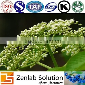 Anthocyanins Elderberry Extract thumbnail-1