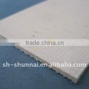 pe Conveyor Belt thumbnail-1