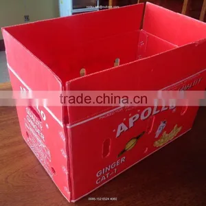 Corrugated PP Apple Packing Case Fruit Storage Carton Packaging Box thumbnail-1