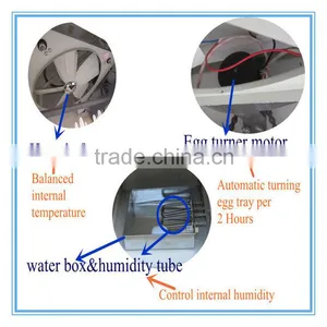 Top Selling Newly Design Full Automatic Egg Incubator Hatching 1848 Eggs for Sale thumbnail-5