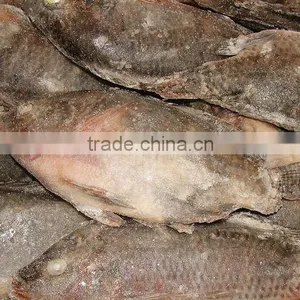Frozen Tilapia thumbnail-1