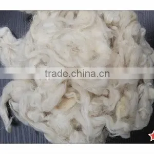 Chinese New Best Quality Carpet Grade Washed Sheep Wool With Permethrine Free no Tar no Paint and no PP thumbnail-1