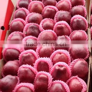 Red Delicious Variety and Common Cultivation Type Red Delicious Apple thumbnail-2