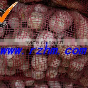 New Crop High Quality Fresh Garlic Directly Supply thumbnail-4