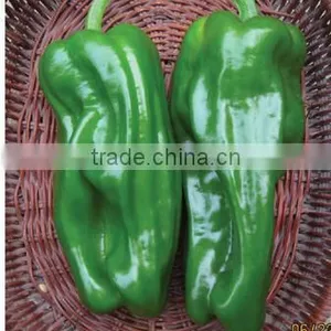 Hybrid Green Bell Pepper Seeds for Growing-PS012 thumbnail-1