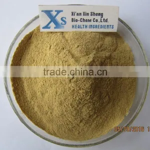 GMP Kosher Natural Aswagandha Extract Withanolides/Withania Somnifera Extract thumbnail-1