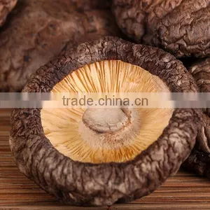 AA Quality Tea Flower Shiitake thumbnail-3