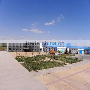Wholesale Shine Skin & GWS PUMPKIN SEED PRICE GRADE A.AA FOR SALE thumbnail-3