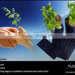 Planting Pot thumbnail-6