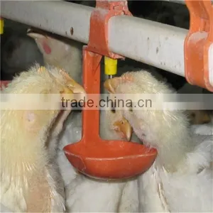 Automatic Drinker for Chicken thumbnail-1