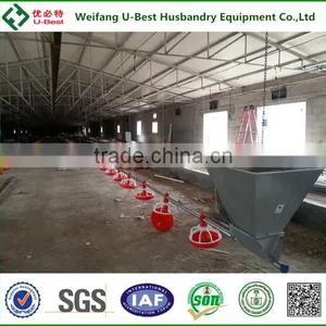 Breeder Poultry House Equipment/chain Feeding System thumbnail-5