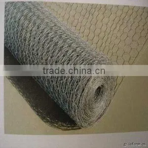 PE Hexagonal Wire Mesh thumbnail-1