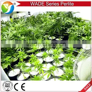 Soil Additive Perlite for House Plants and Garden thumbnail-2
