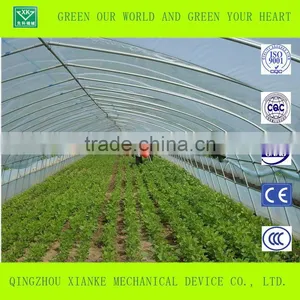 Single-Span Sunlight Seeding Greenhouse in China thumbnail-4