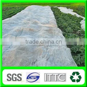 PP Spunbond Nonwoven Fabric for Agriculture Use thumbnail-1