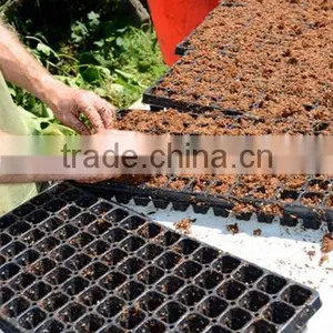 Artifici Flower Blister Process Type Seeding Tray thumbnail-2