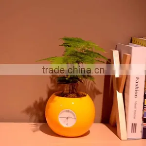 Happygenius Desktop Self-Watering Flower Pot With Clock thumbnail-5