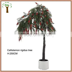 Artificial Callistemon Rigidus Tree thumbnail-1