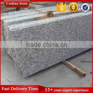 Polished Bianco Sardo G439 Big Flower White Granite thumbnail-2