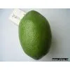 Artificial Vegetable thumbnail-1