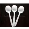 Supply Plastic Spoons thumbnail-1
