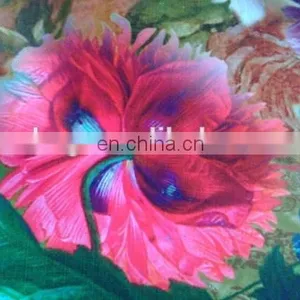 Shaoxing Winfar New Design Digital Print Scuba / Air Layer Knit Fabric for Garment thumbnail-5