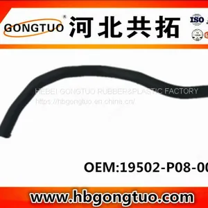 Radiator Hose 19502-P08-000 thumbnail-1