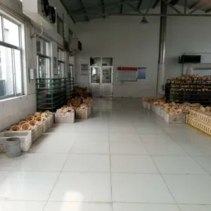 Weifang Junlong Machinery Co. LTD company overview - view 4 thumbnail