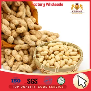 HIGH QUALITY BLANCHED PEANUT KERNELS 29/33 BY JUNAN KAIBING thumbnail-1