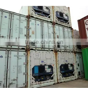 10ft 20ft 40ft Freezer and Refrigerator Container thumbnail-1