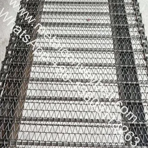 Roller Chain Driven Conveyor Belt for Cooling or Frozen thumbnail-1