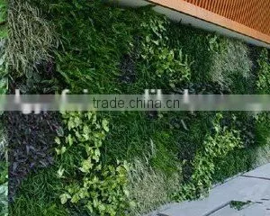 Fabric Material Artificial Grass Garden Wall Plants Artificial Vertical Grass &plants for Walls thumbnail-1