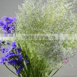 Special Unique Cut Flower Limonium thumbnail-3