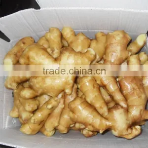 2015 Crop Chinese Shandong Origin Fresh Ginger thumbnail-1