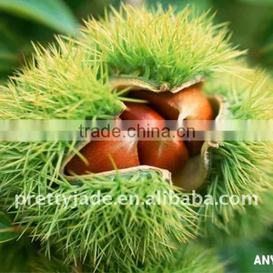Chinese Peeled Chestnut thumbnail-1