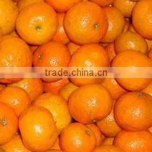 Best Baby Mandarin thumbnail-1