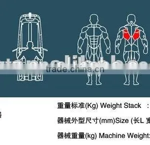 Gym Equipment /body Building Lat Pulldown / Best Selling Machine TZ-6008 thumbnail-4