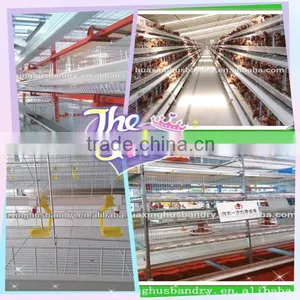Huaxing Automatic Feeder for Hens/broiler Chicken Feeding/broiler Chicken Coop thumbnail-1