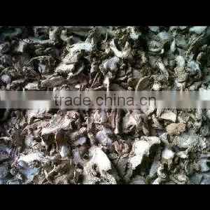 Dried Ginger From Indonesia. Regular Ginger, Red Ginger, Mango Ginger. thumbnail-1
