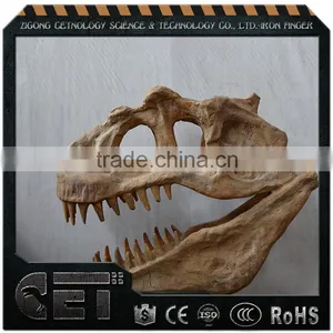 Hot Sale High Quality Dinosaur Skeleton Model Simulated Dinosaur Skeleton thumbnail-2