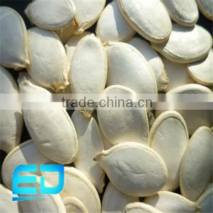Cheap Price Snow White Pumpkin Seed thumbnail-1