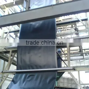 Hdpe Swimming Pool Liner thumbnail-1