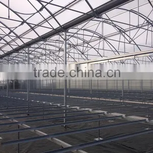 NFT Gutters Channels Gullies for Agricultural Greenhouses and Tomato Production thumbnail-6
