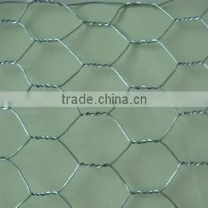 2016 Good Sales!! 24 Hot Galvanized Hexagonal Wire Mesh for Cleaning Stock thumbnail-4
