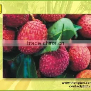 Canned Lychee Vietnam by Thongtanfood thumbnail-1