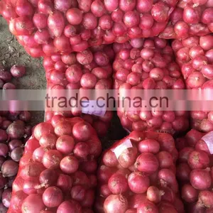 Fresh Onion on Sale in This Hot Season Before New Year With High Quality and Reasonable Price thumbnail-3