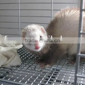 Iron Wire Mesh,galvanized Wire Mesh Panel thumbnail-4