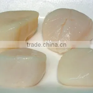 Frozen Shell Meat Scallop Meat thumbnail-1