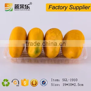 OEM Design PET Blister Vacuum Forming Plastic Tray thumbnail-4